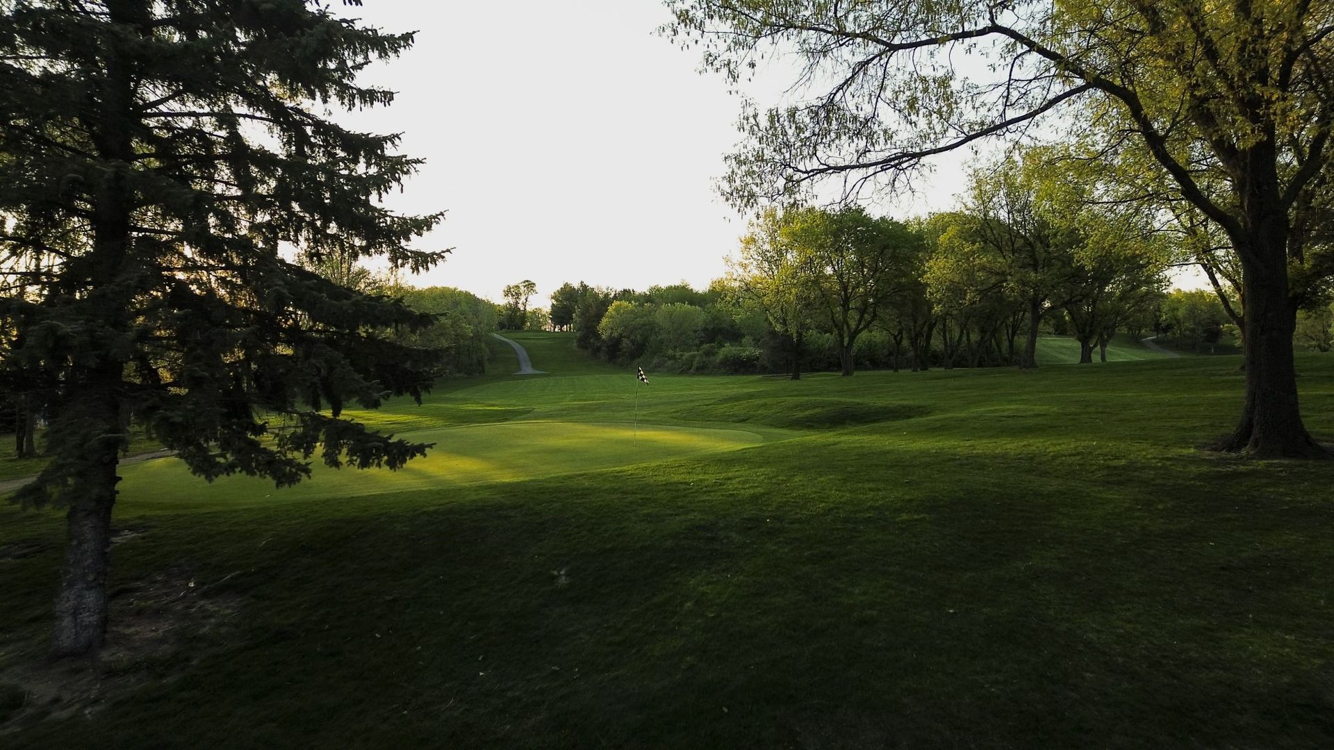 A lush green field with trees in the background
