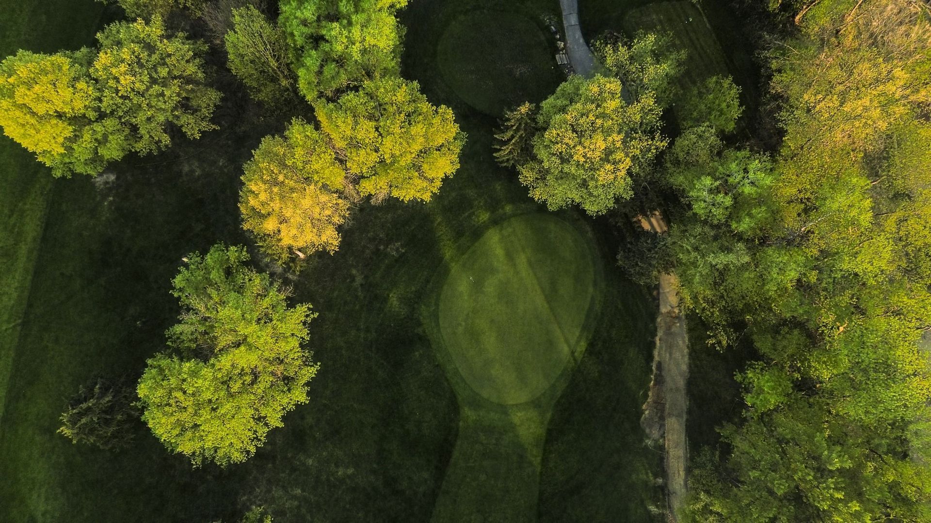 An aerial view of a golf course surrounded by trees.