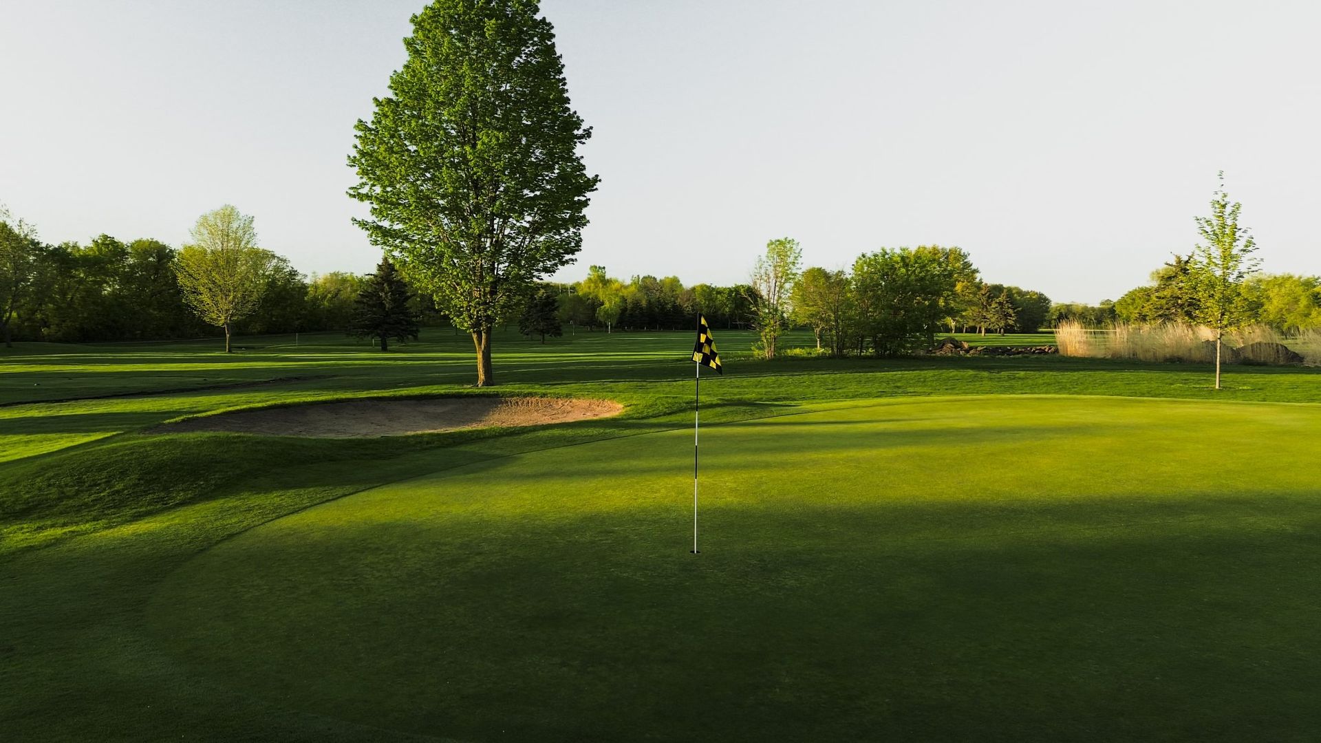 A golf course with a green and a tree in the background.
