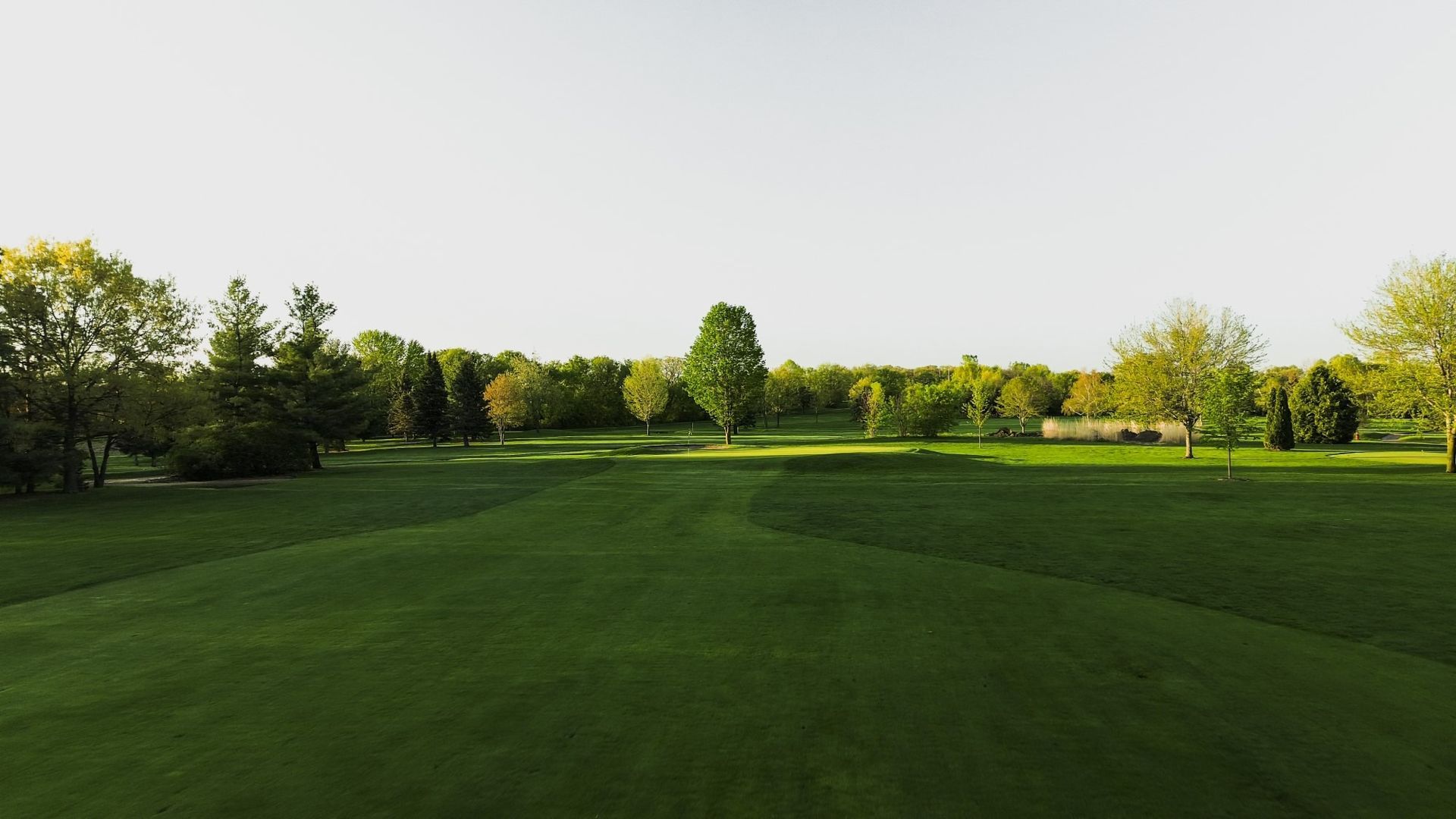 A golf course with a lot of green grass and trees in the background.