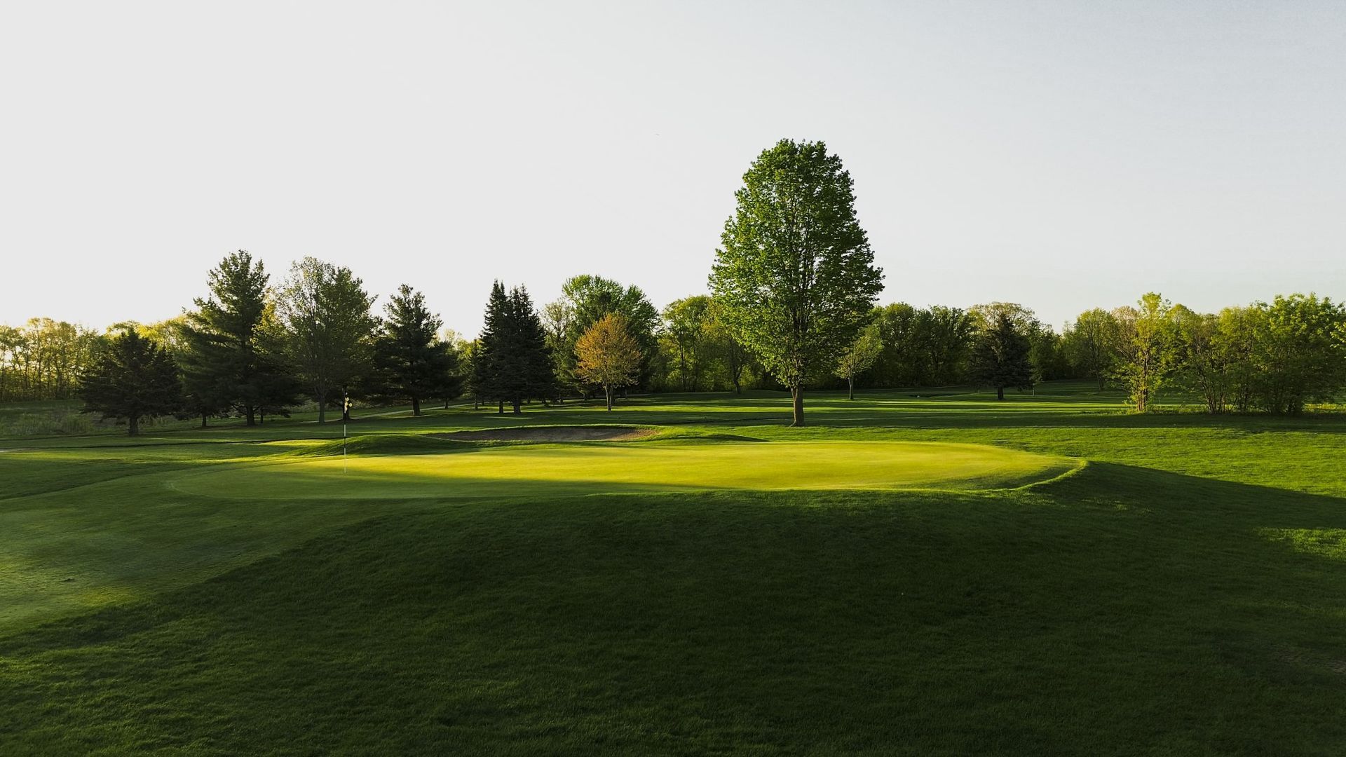 A golf course with a green and trees in the background
