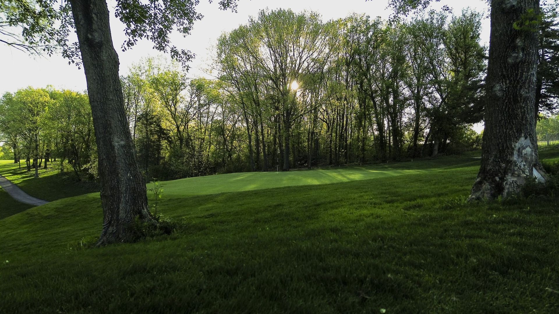 The sun is shining through the trees on a golf course