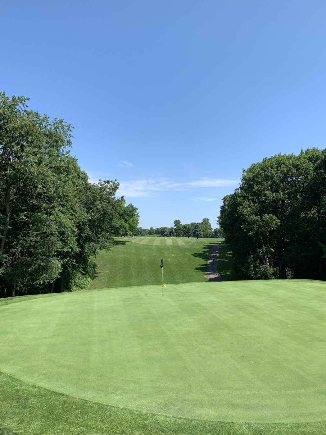 A golf course with trees and a blue sky in the background