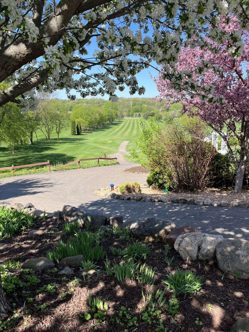 A path leading to a golf course with a tree in the foreground.