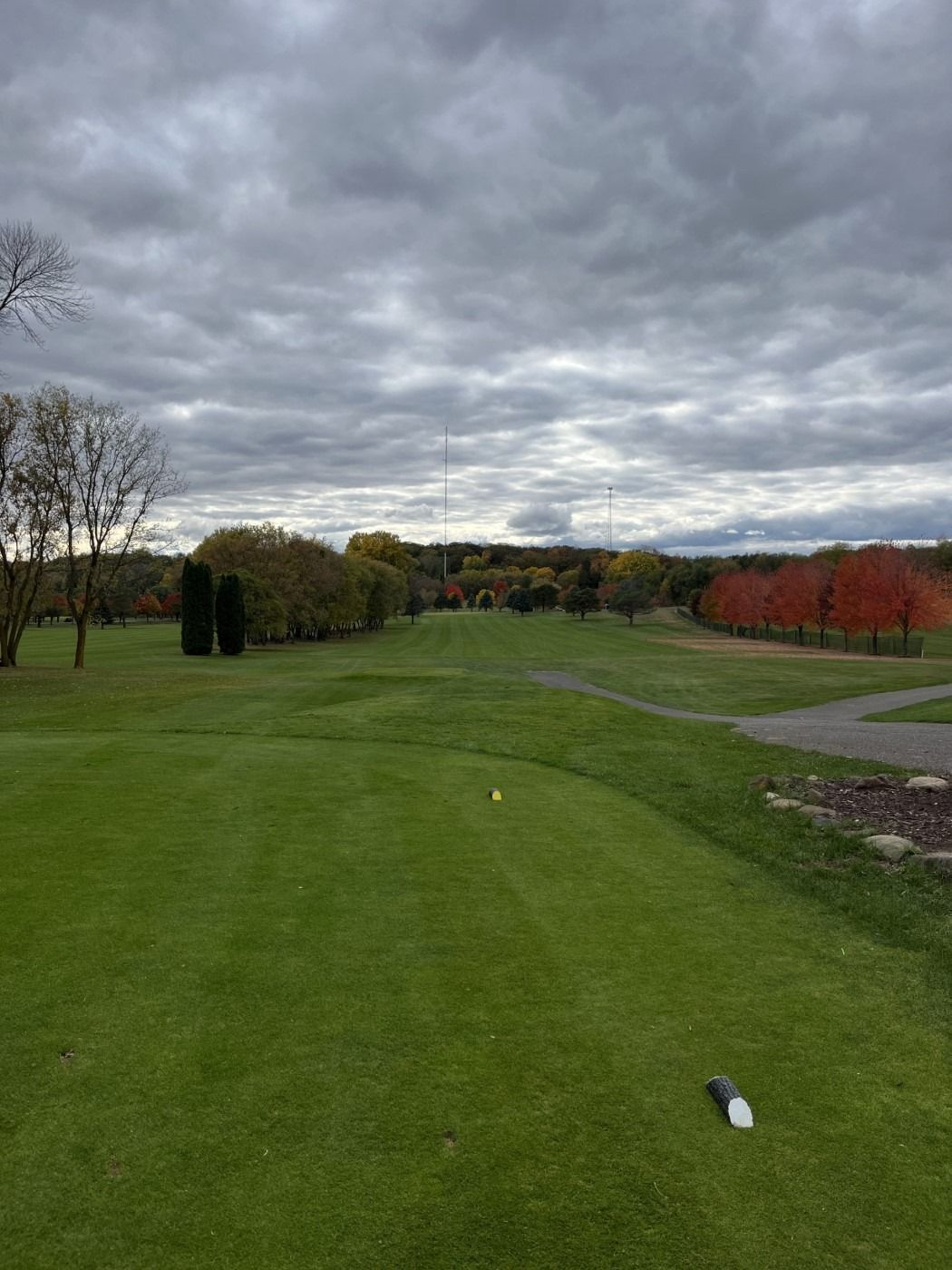A golf course with a cloudy sky and trees in the background.