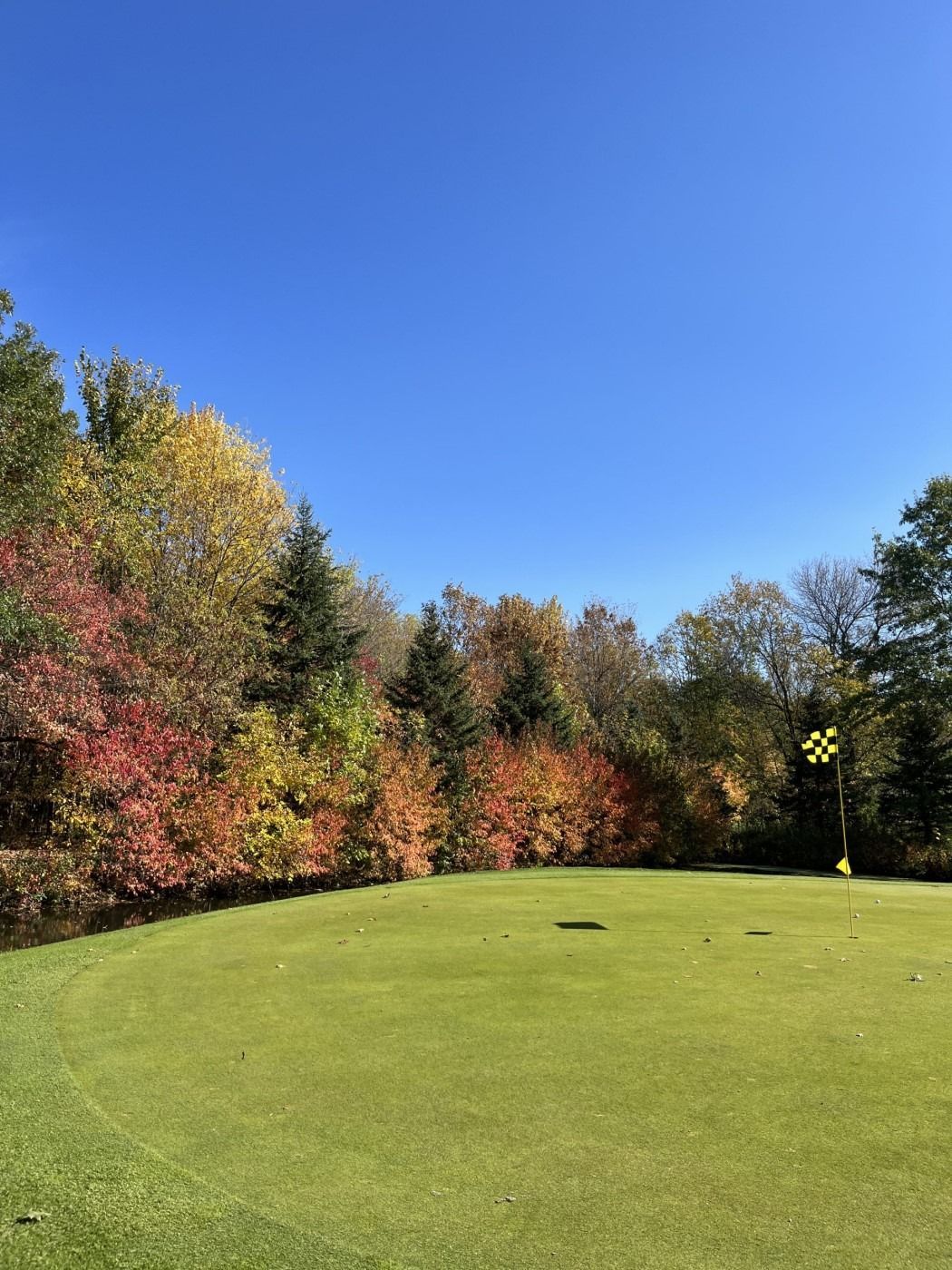 A golf course with trees in the background on a sunny day.