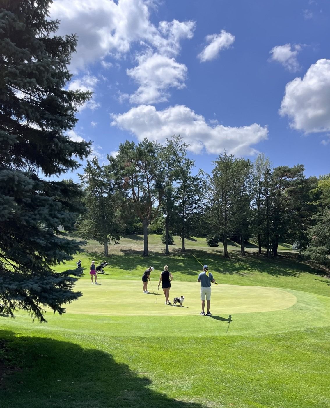 A group of people are playing golf on a lush green field.