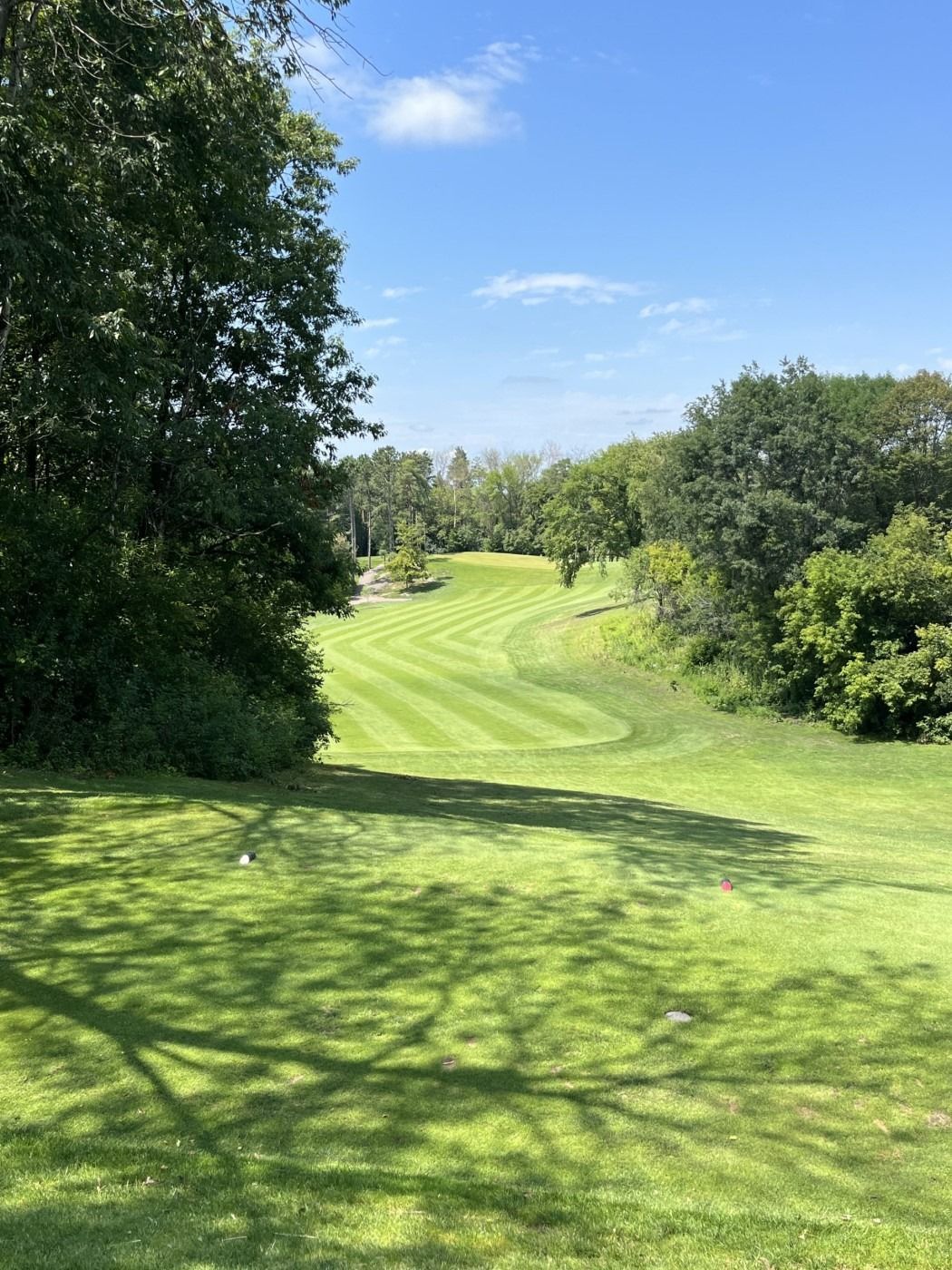 A golf course with trees and grass on a sunny day.