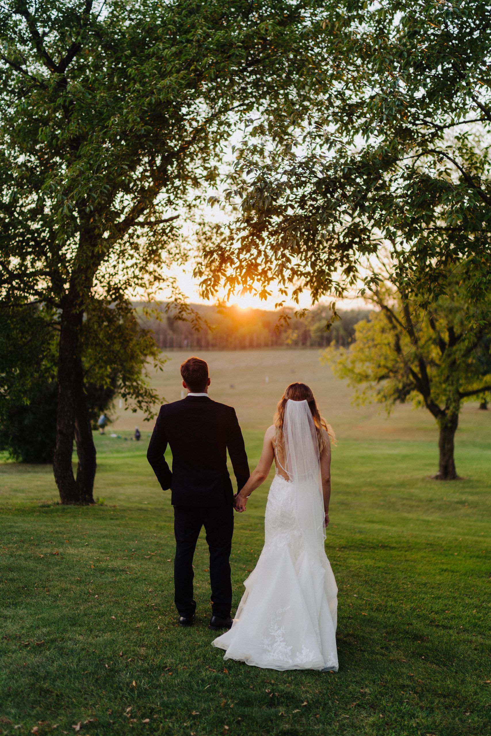 Newlyweds holding hands, gazing at sunset over a grassy field, trees framing the scene.