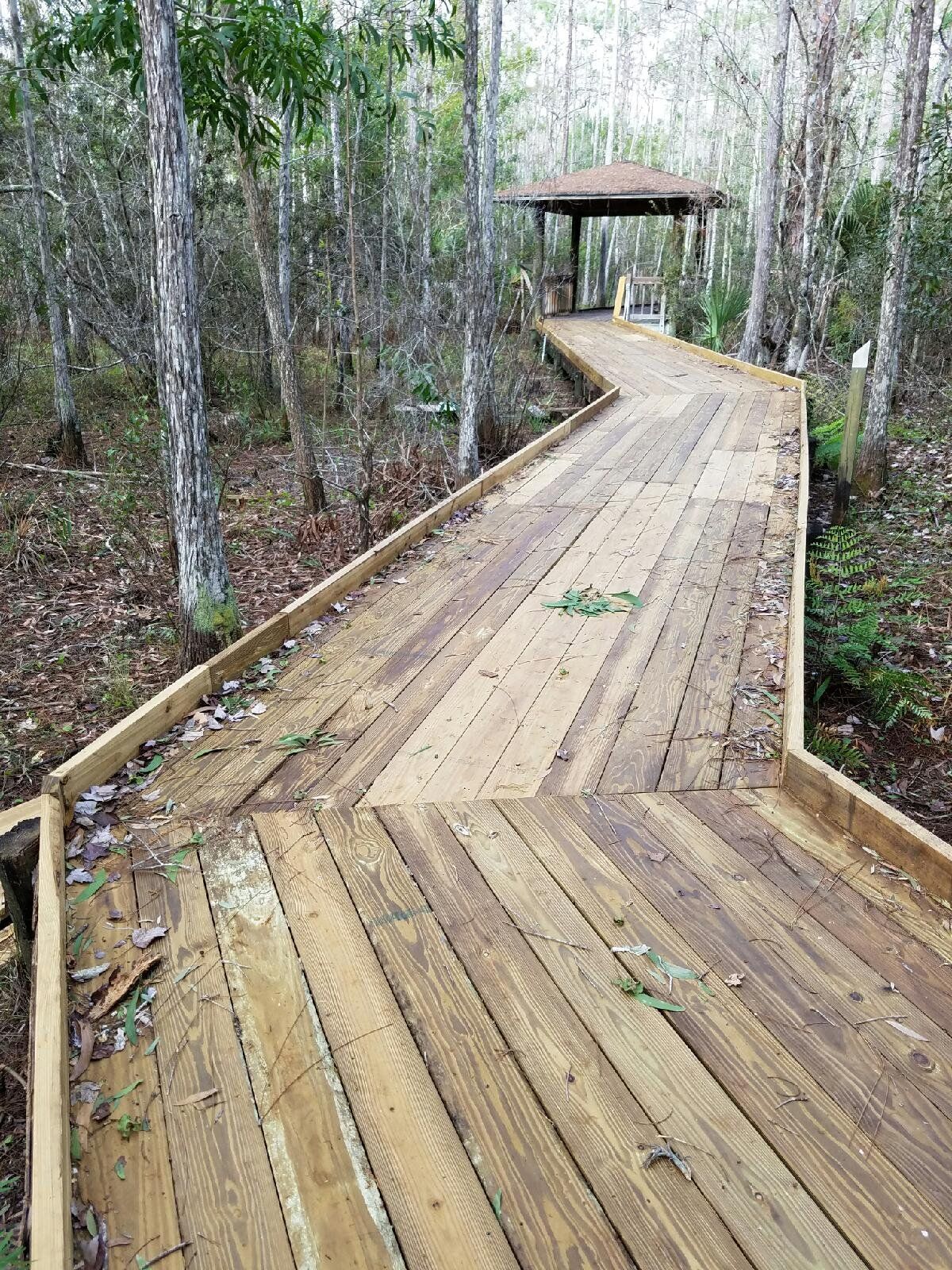 Calusa Nature Center