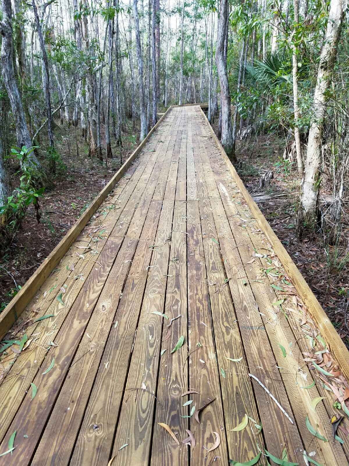 Calusa Nature Center
