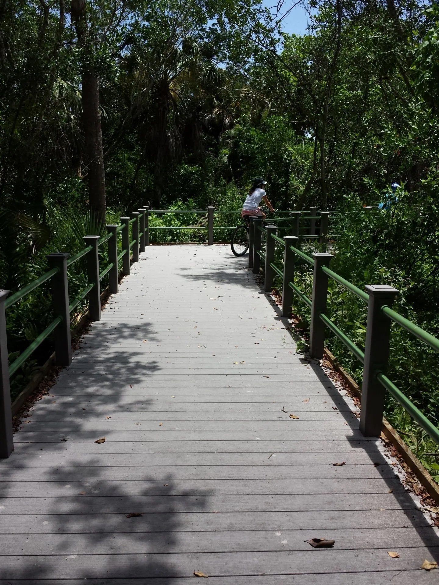 Beach walkovers and boardwalks