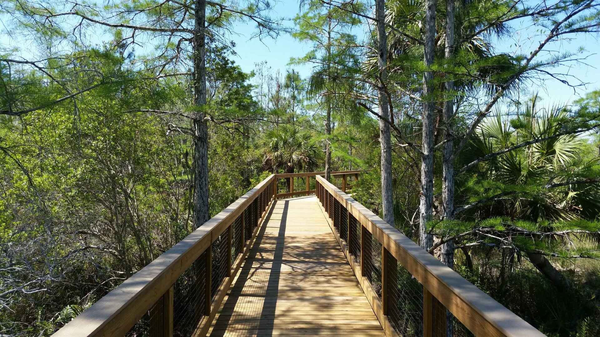 Beach walkovers and boardwalks