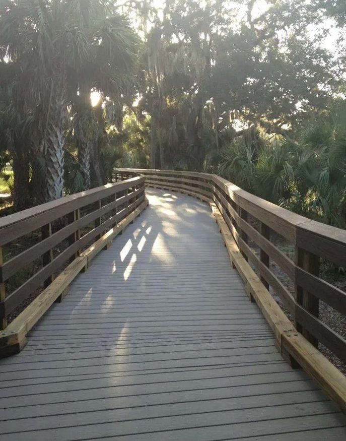 Beach walkovers and boardwalks