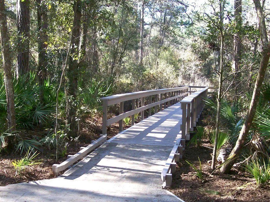 Beach walkovers and boardwalks