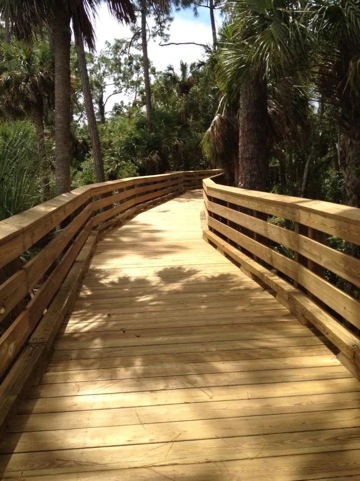 Beach walkovers and boardwalks