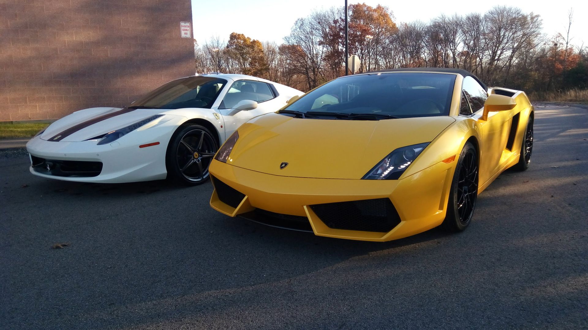 Yellow and white sports cars parked outdoors on pavement, with autumn trees in the background