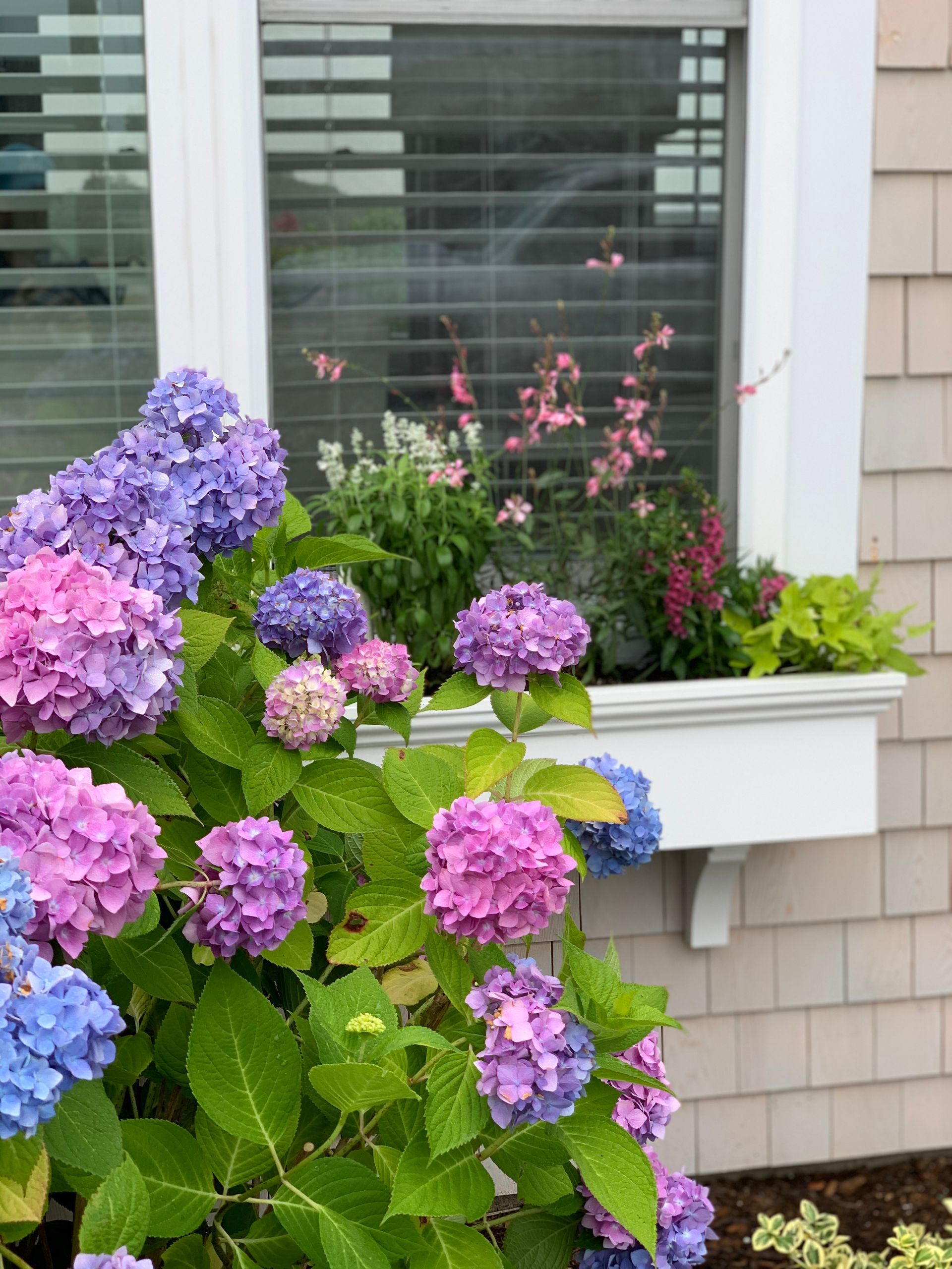 Container Gardens #1