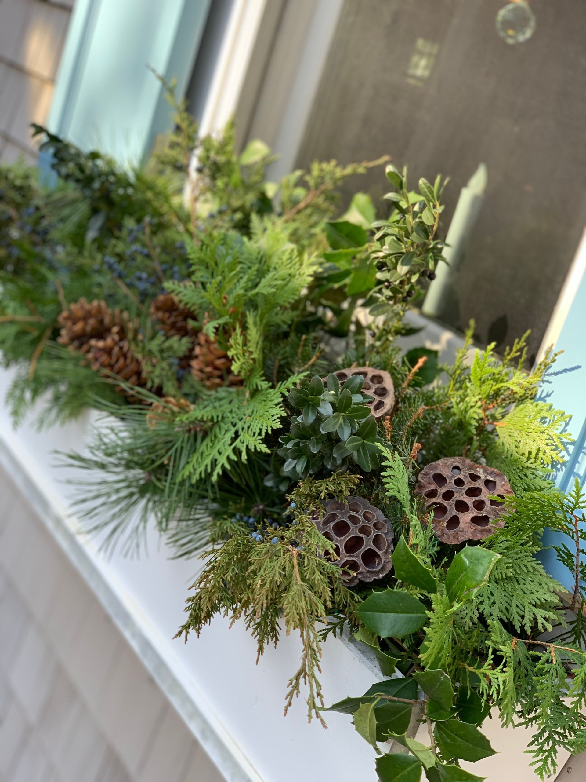 Container Gardens #2