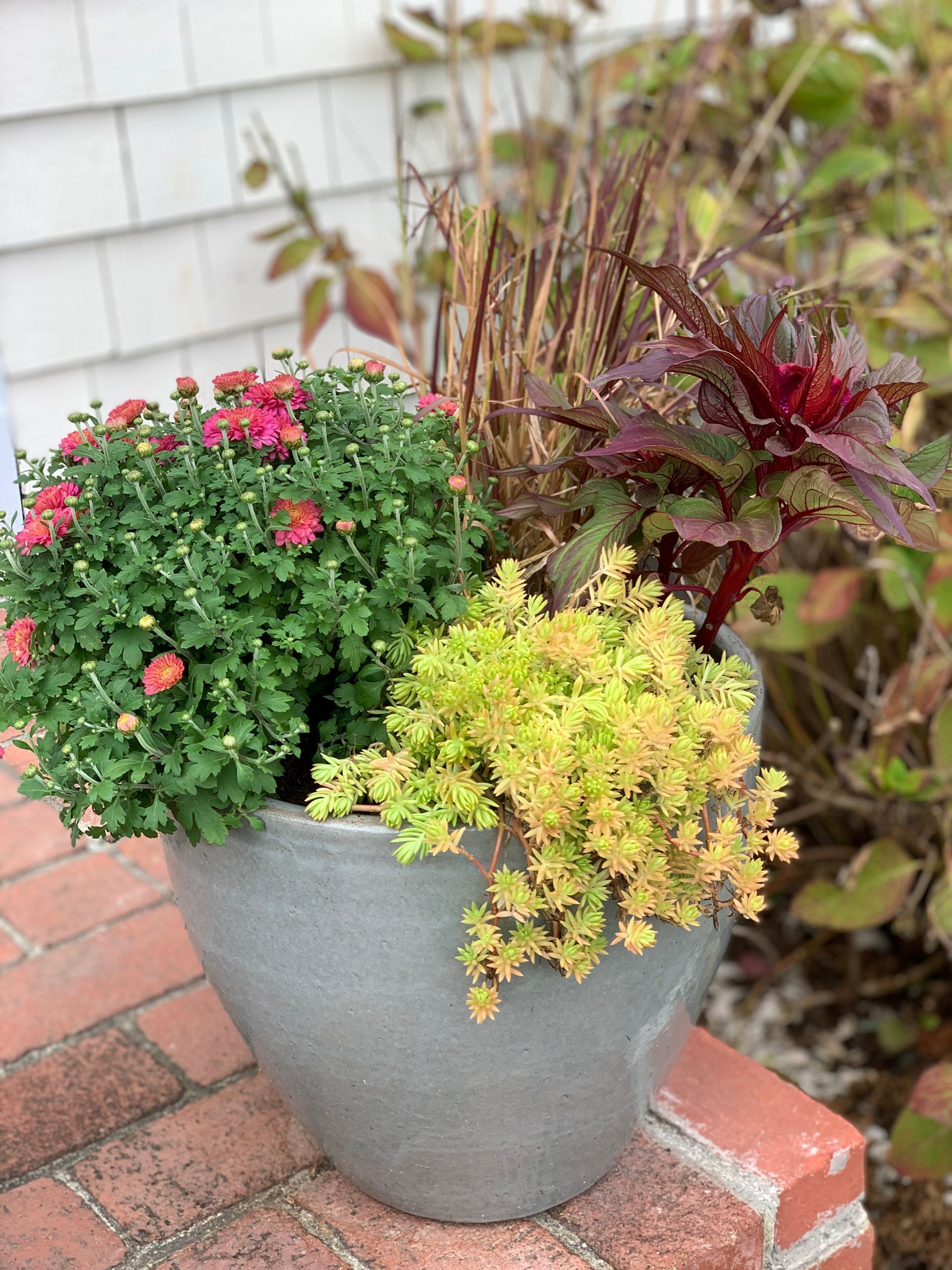 Container Gardens #3