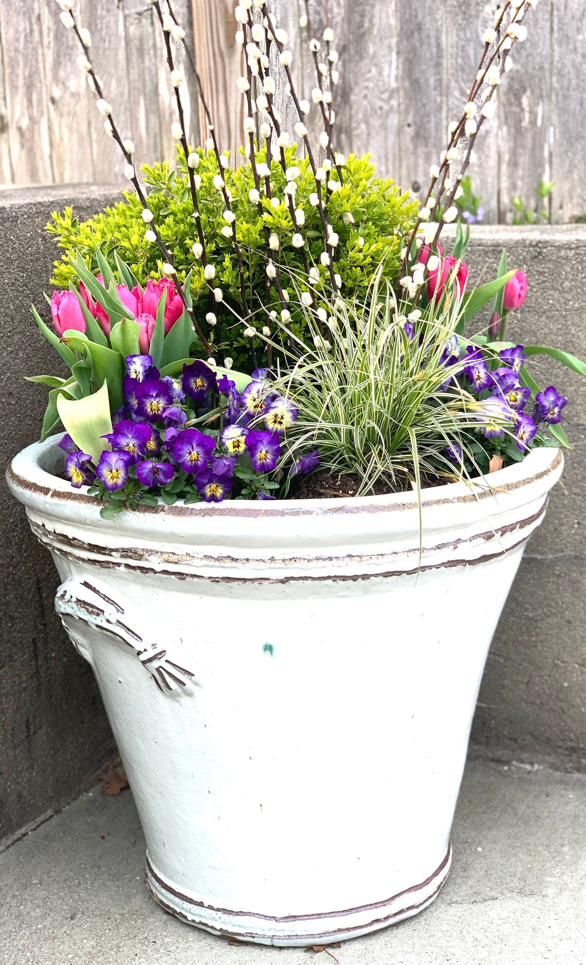 Container Gardens #4