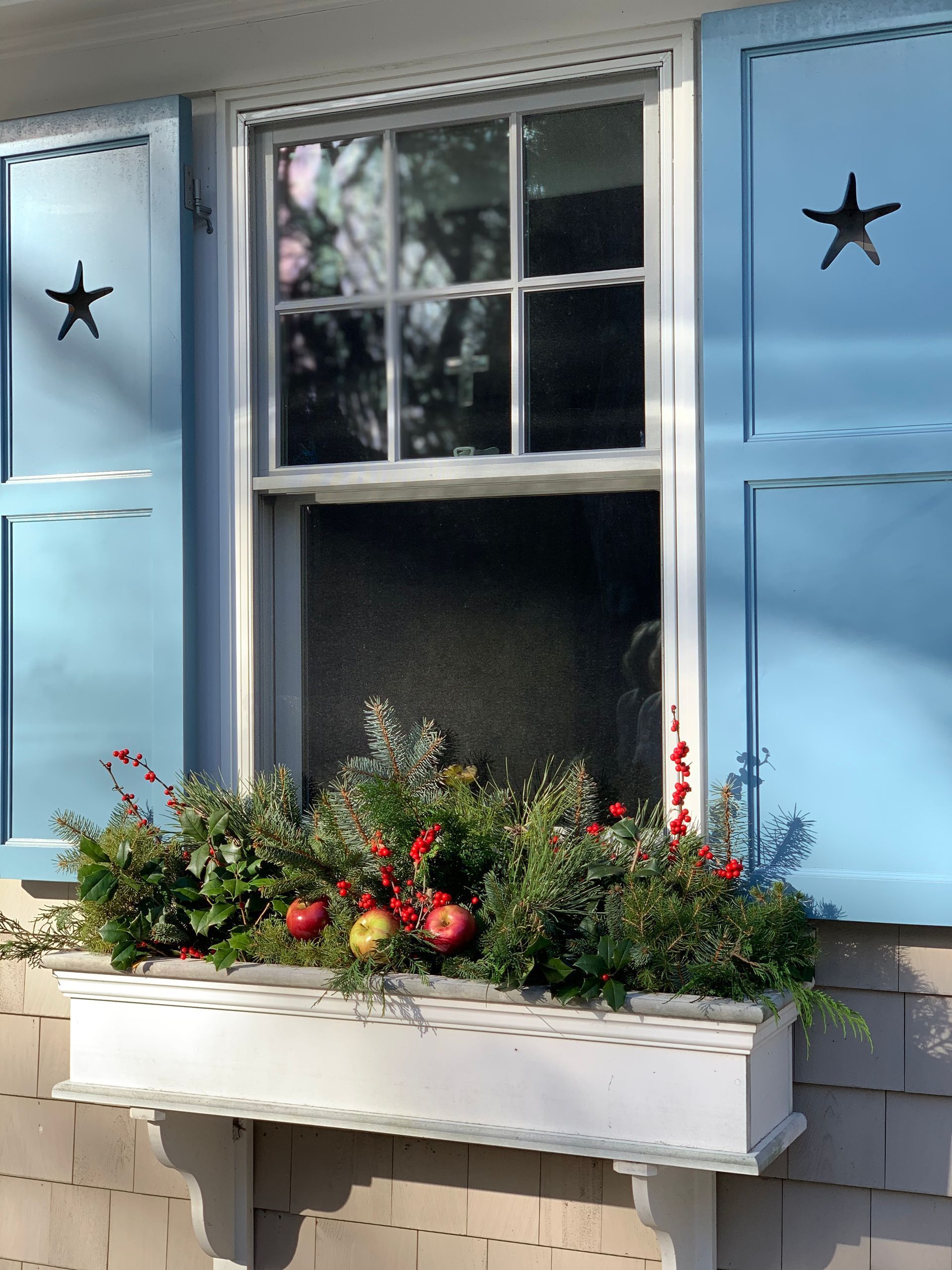 Container Gardens #5