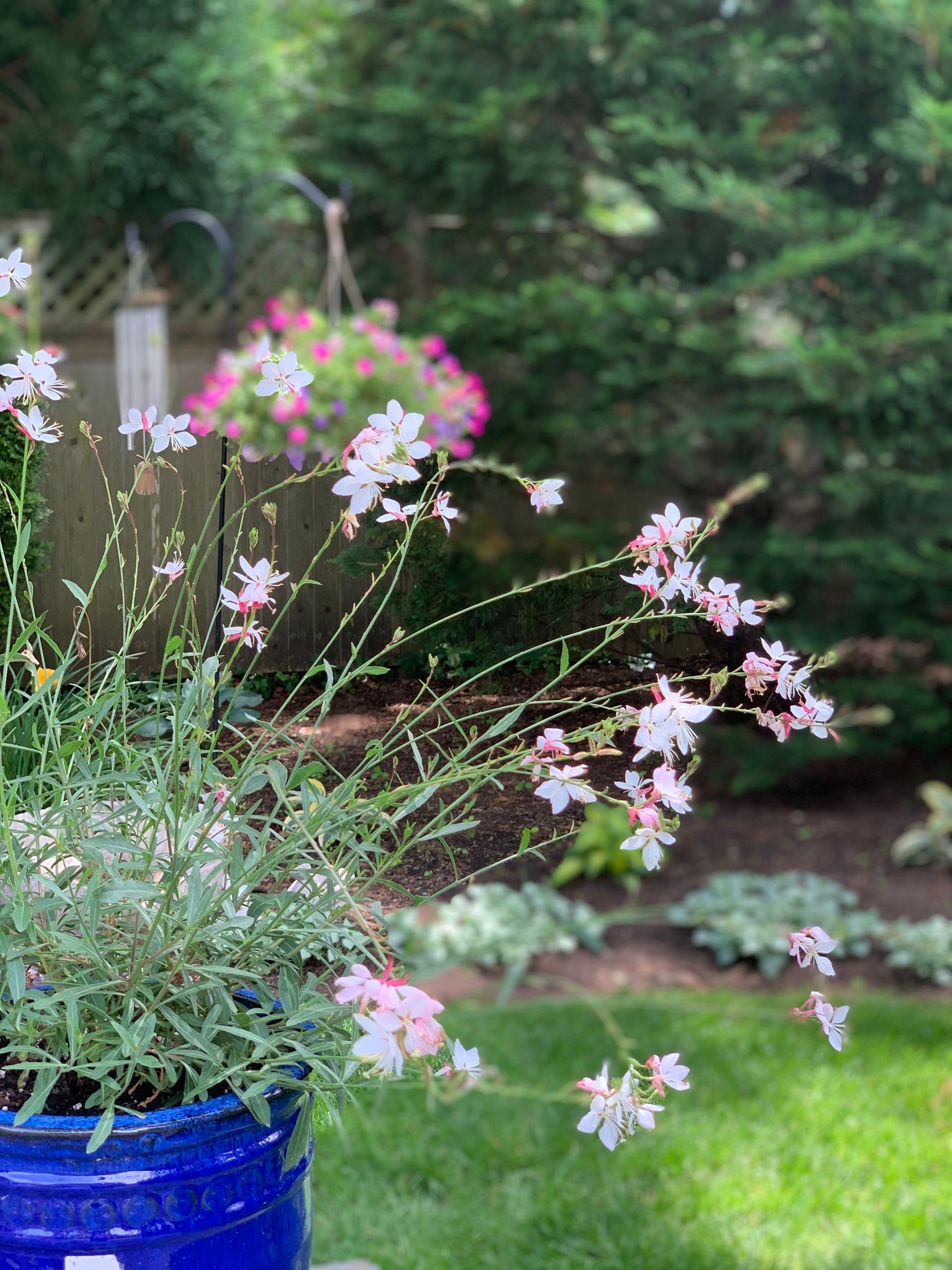 Osterville Cottage Landscape #3