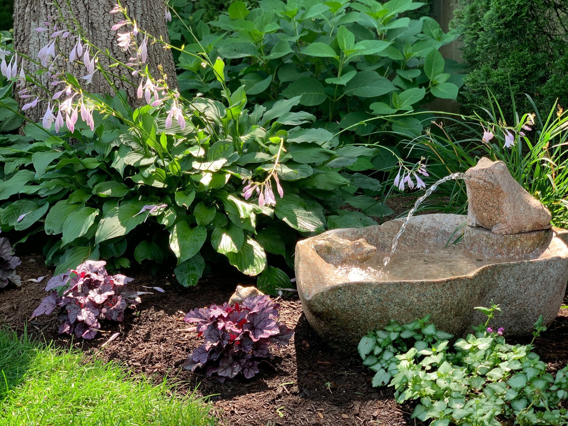 Osterville Cottage Landscape #5