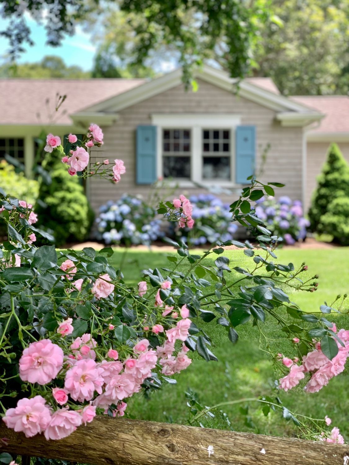 Osterville Cottage Landscape #8