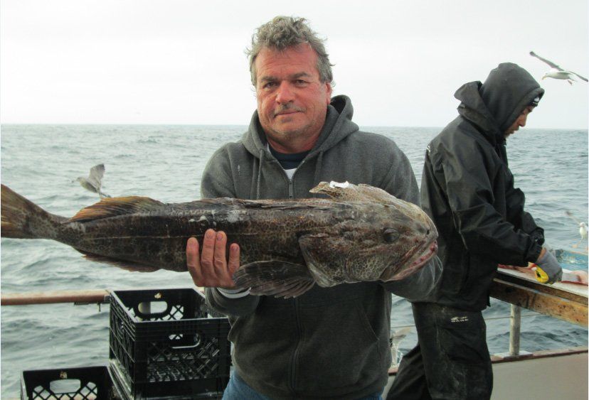 Catching Fish