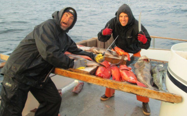 People Catching Fish