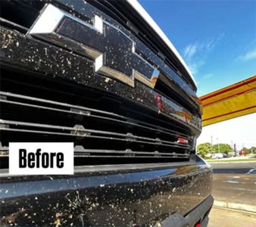 Black car grill - Before