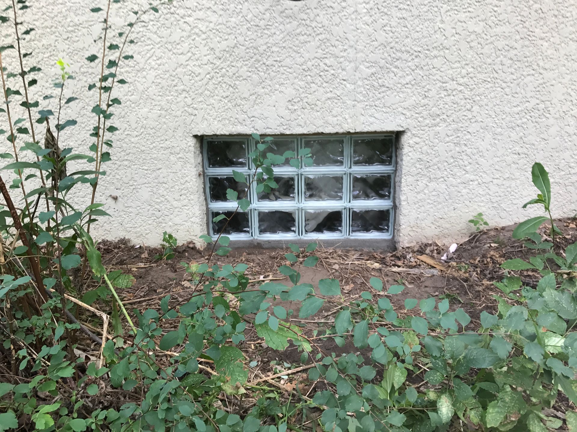 Glass block basement window in beige stucco wall, surrounded by green foliage and dirt.
