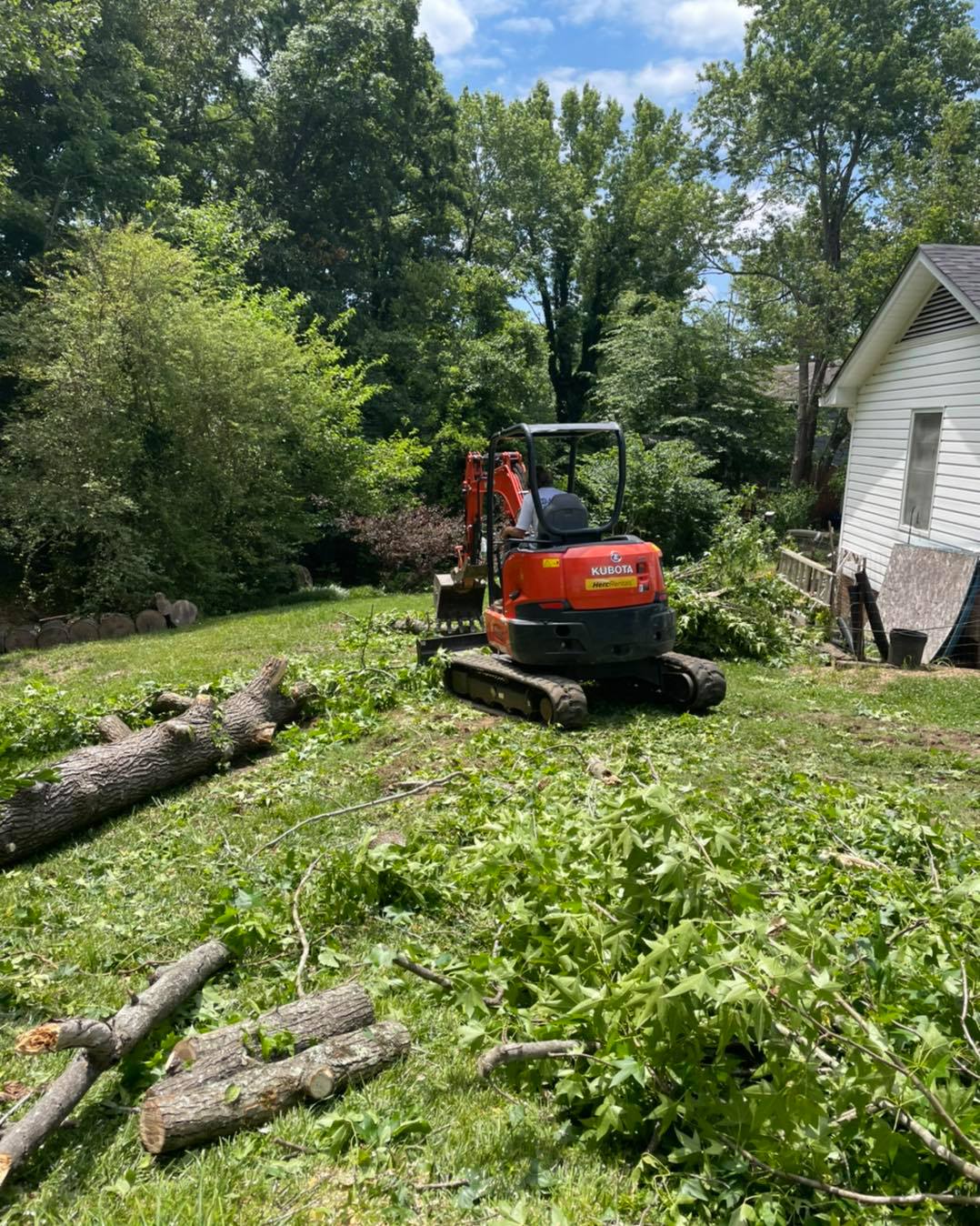 Tree removal