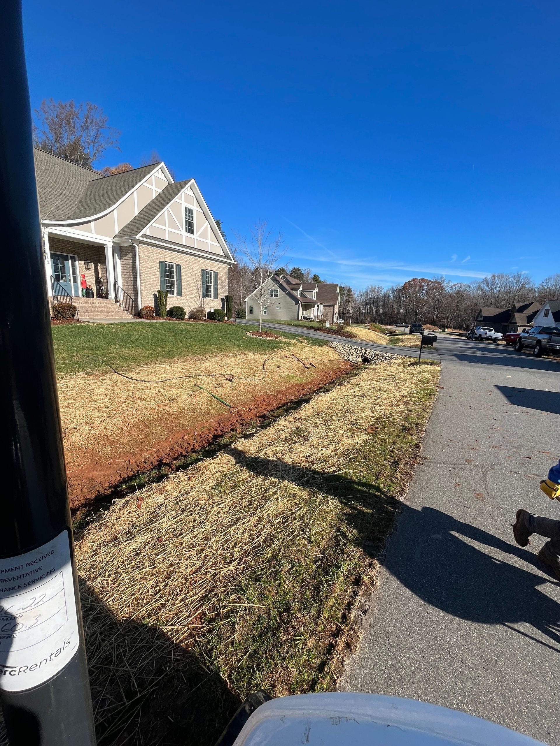 walkway grass and plants