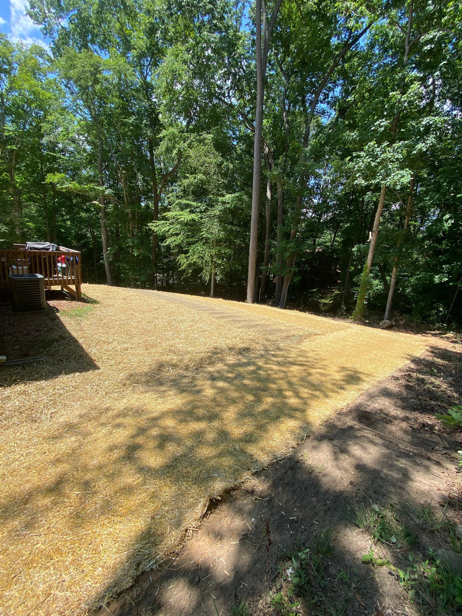 completed lawn project