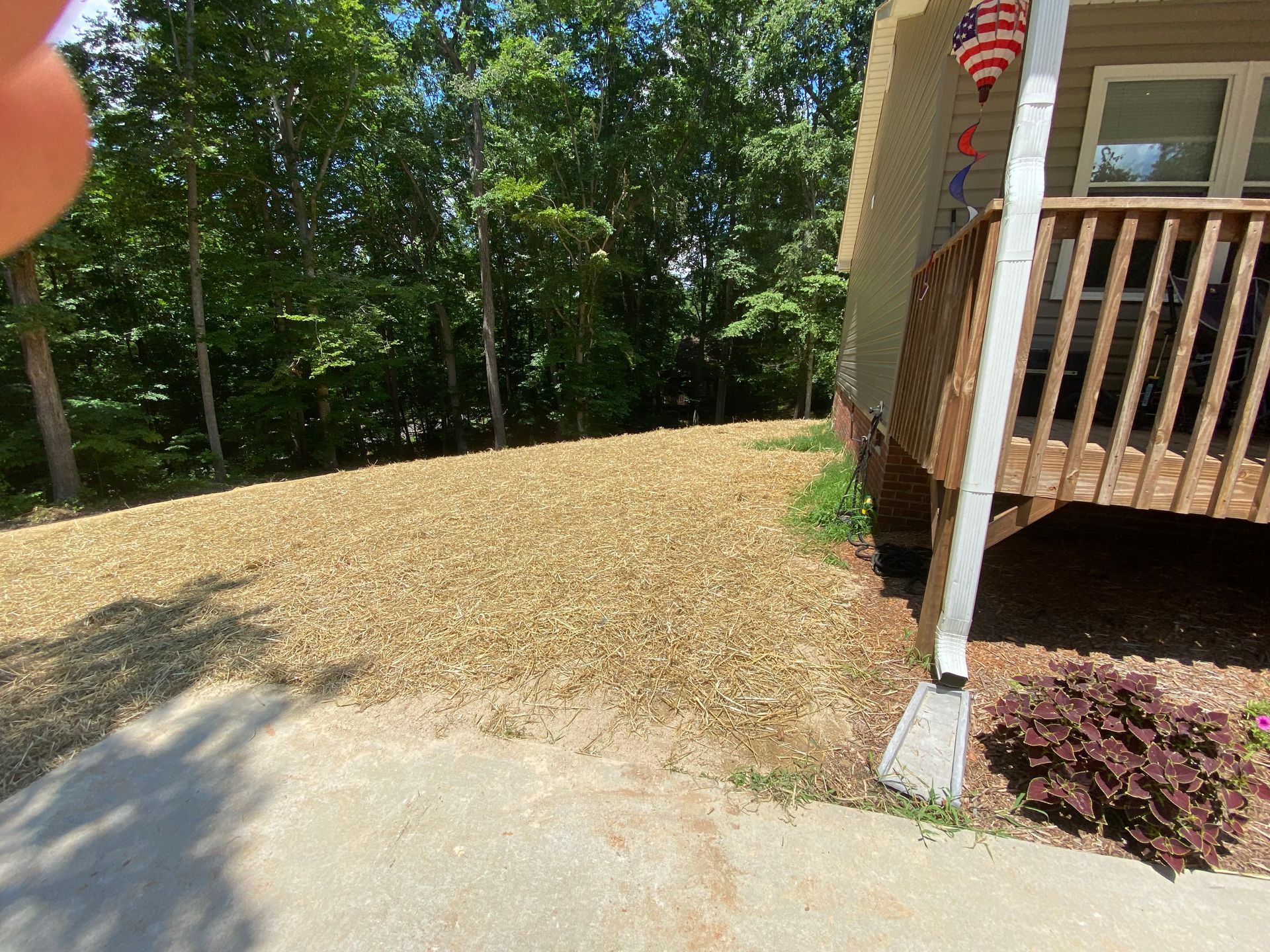 yard expansion in Lexington