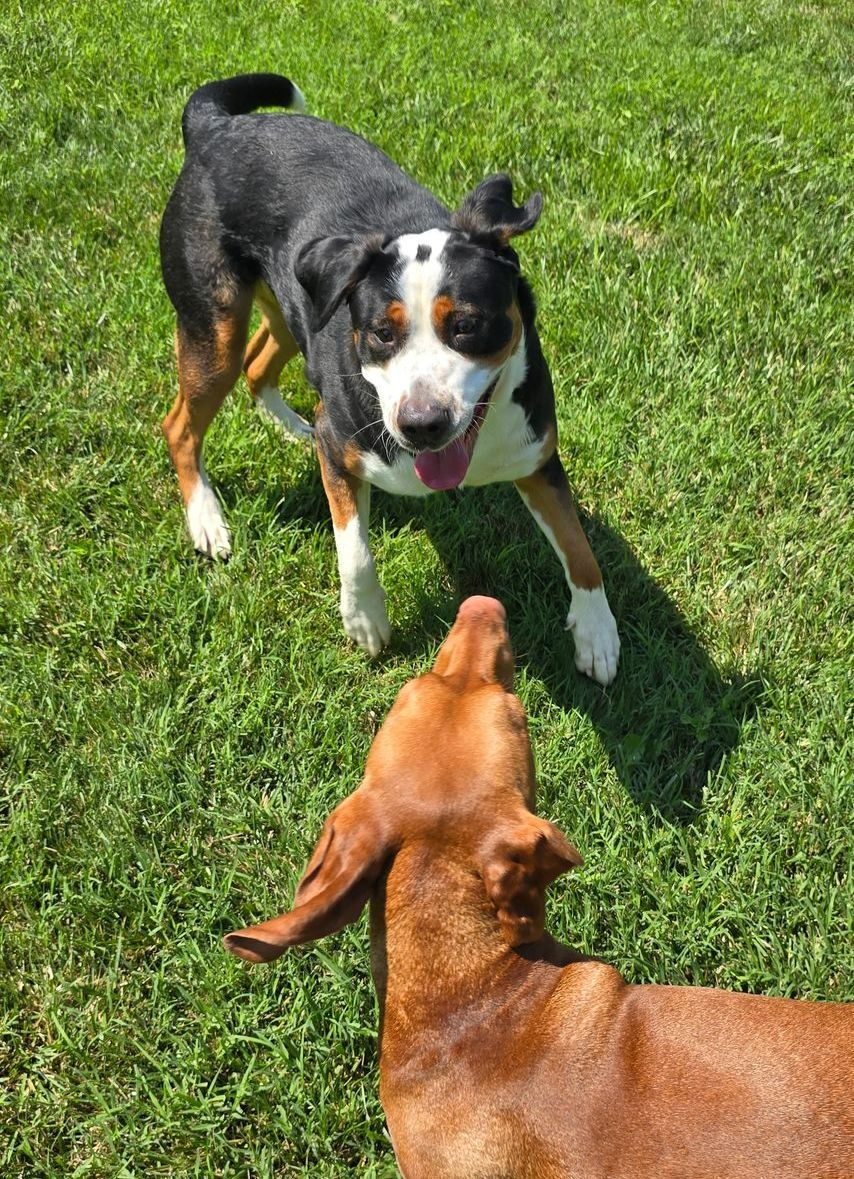 Daycare