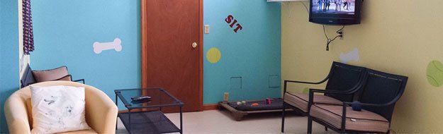 Waiting room with blue walls, chairs, a closed door, and a wall-mounted TV.