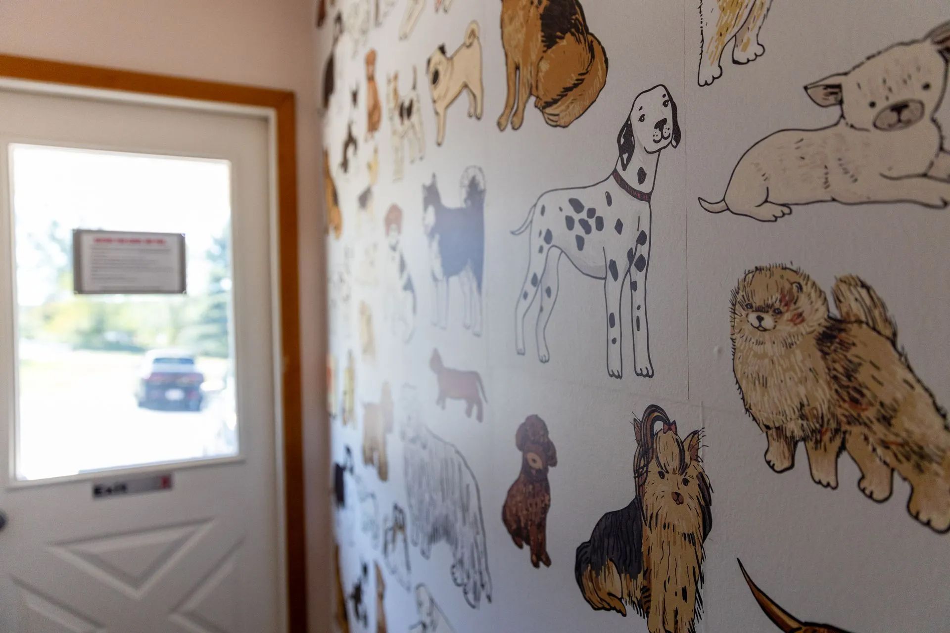 Dog-themed wall mural beside a white door with a small window