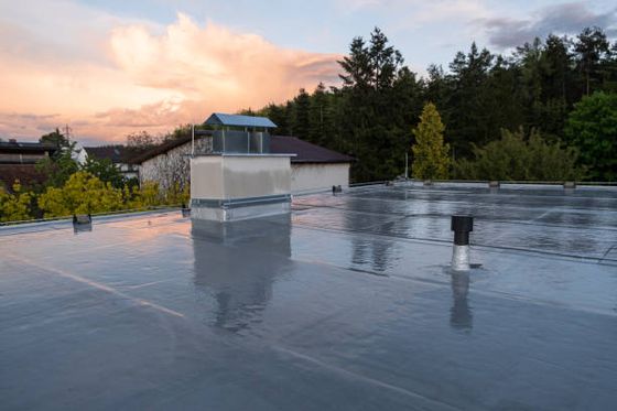 Rubber roofs