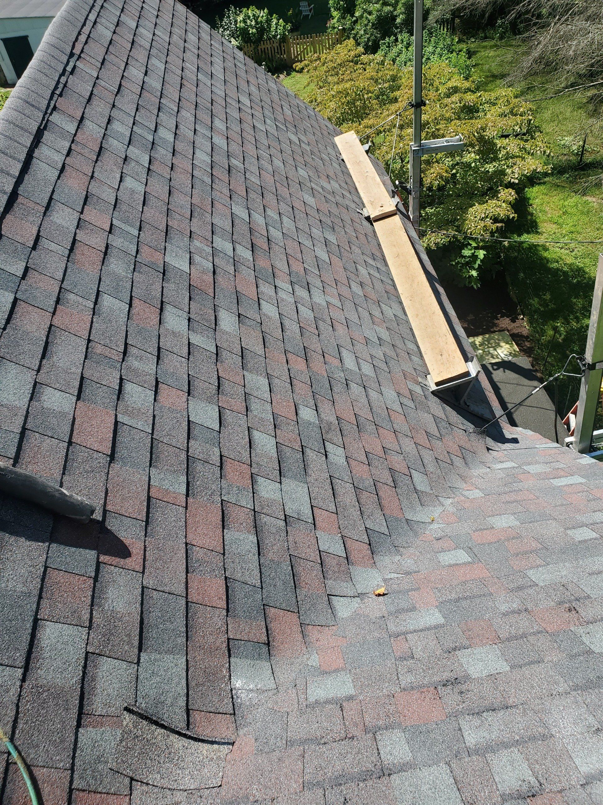Shingle roof services