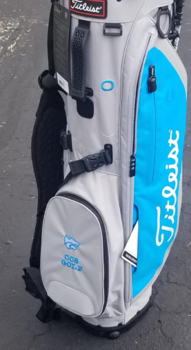 Gray and blue Titleist golf bag with side pocket and handle.