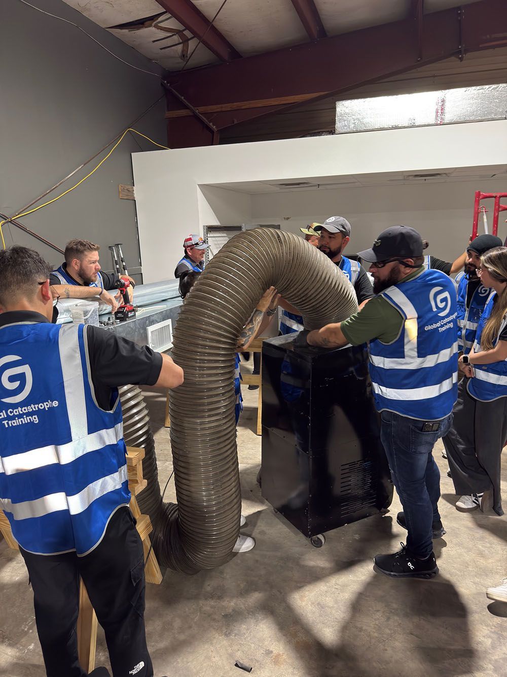 Workers in blue vests move a large coiled snake into a black container indoors.