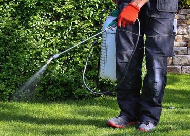 A man is spraying a lawn with a sprayer.