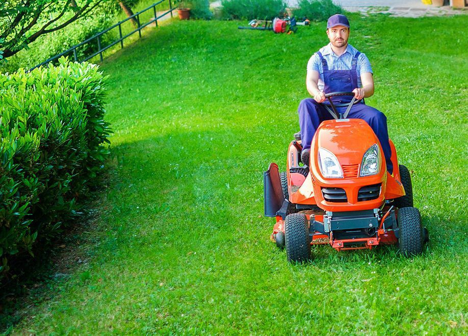 Learn More About Lawn Services Lawn Services