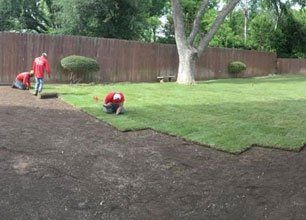 Landscape Builds Services