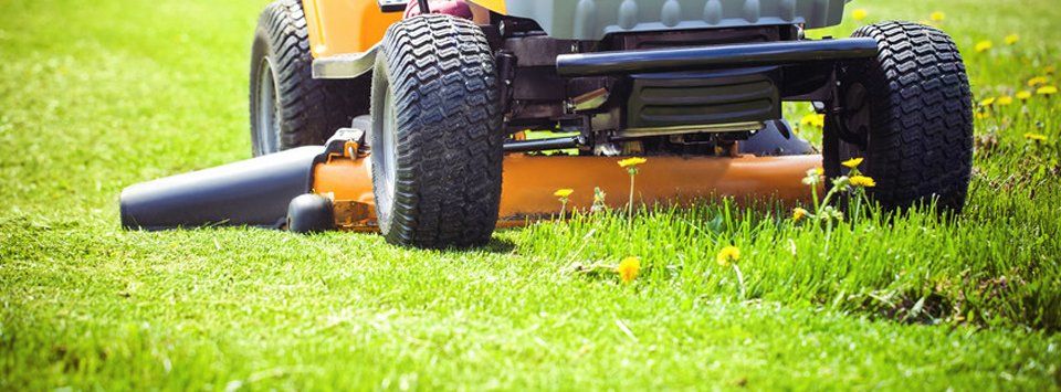 Lawn care