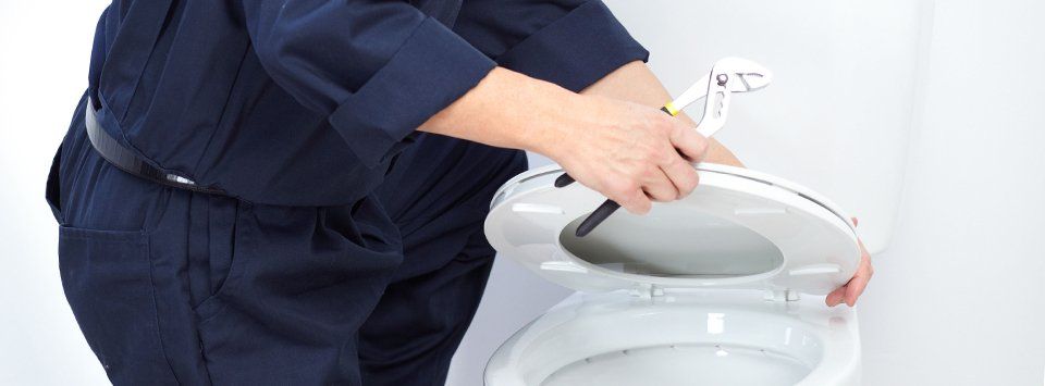Toilet installation