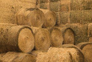 Learn More About Hay Bales of hay